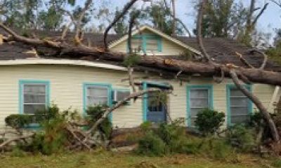 house with tree fallen on it