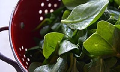 Fresh spinach