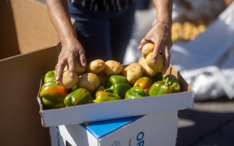 A box of potatoes and bell peppers.