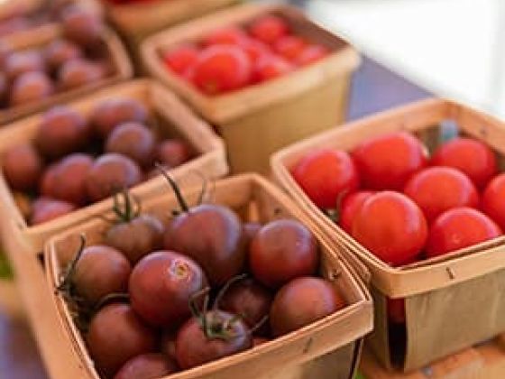 Wooden trays of cherry tomatoes.