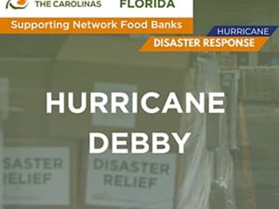Hurricane response to Debby