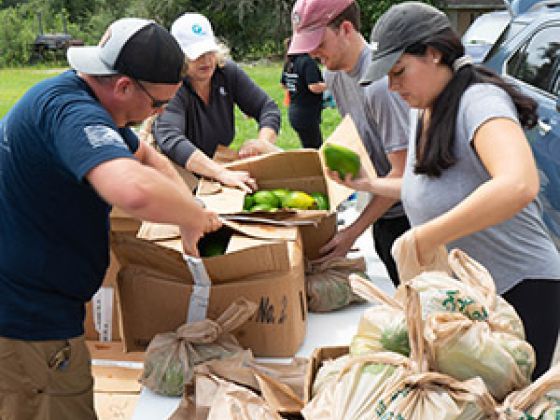 Volunteers helping unpack food from boxes and bags.