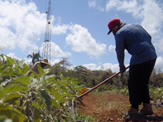 A farmer tending to a field.